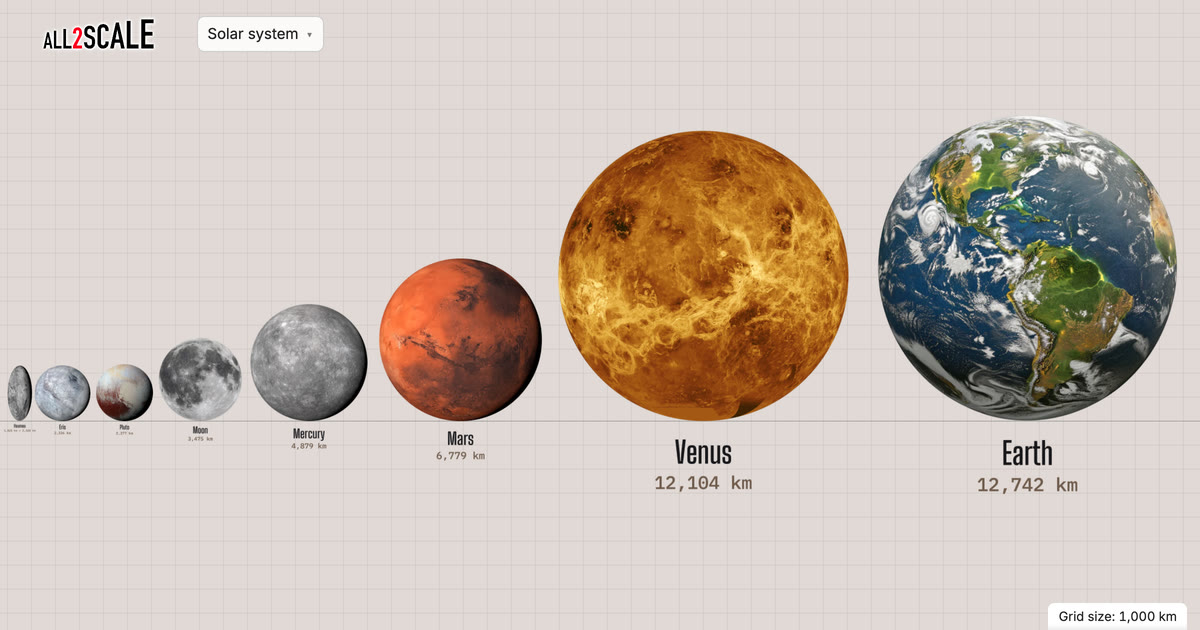 All2Scale: Size Comparisons at True Scale